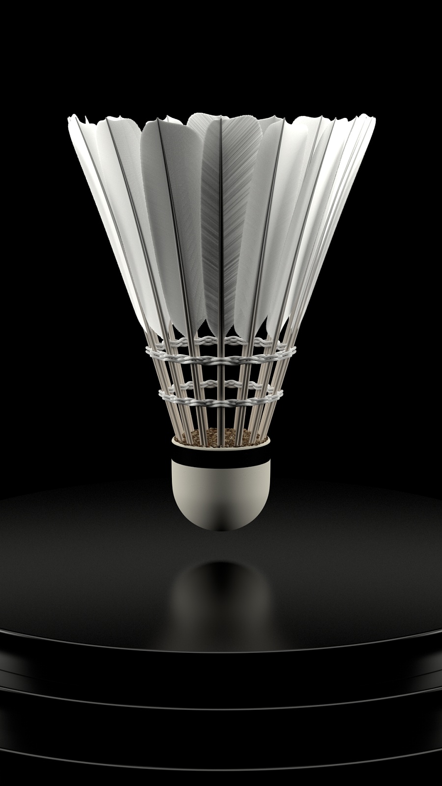 受比赛气氛 受比赛气氛